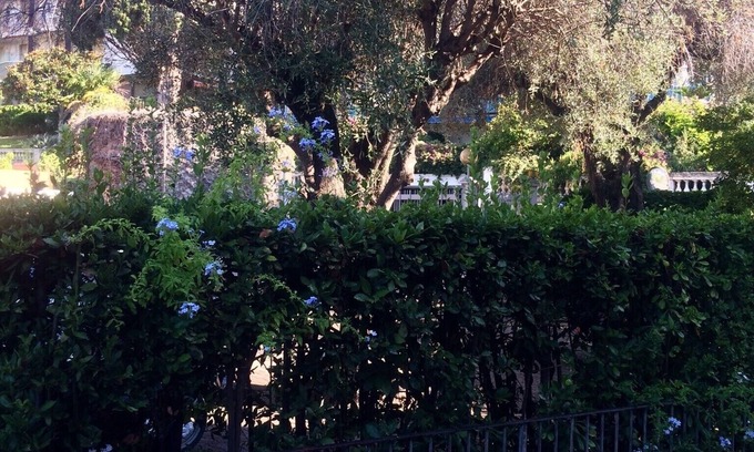 Sanremo House | Discover Villa Primavera: Family & Pet-Friendly Getaway