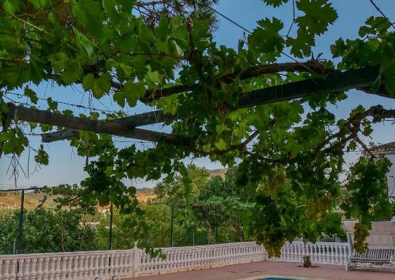 Fornes House | Villa Ricardo: Family-Friendly Retreat with Ocean Views
