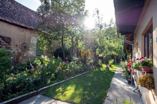 Richis House | Eco Wine Haven in Transylvania: Rated 9.6, Family-Friendly