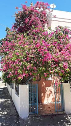Perdhika Apartment | Pet-Friendly Villa Rodanthos with Breakfast & Great Reviews