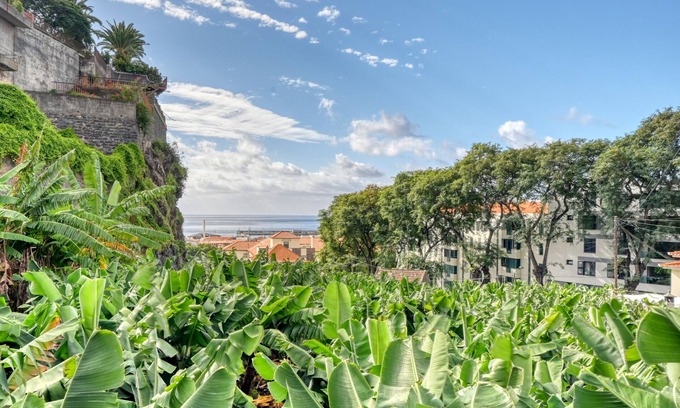 Santa Luzia House | Villa Rosa: A Home with Spa & Breakfast in Madeira