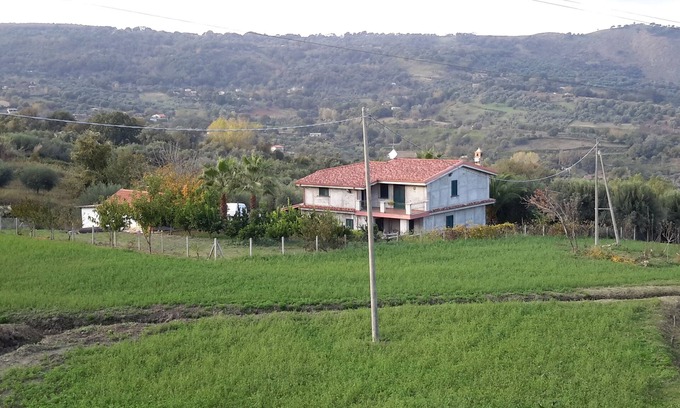 Pizzo House | Villa Rosetta: Embrace Nature Amid Palm and Olive Trees
