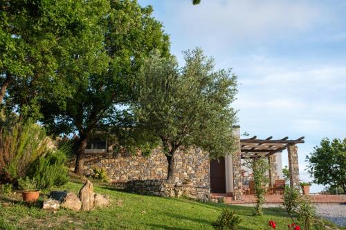 Ascea House | Oceanfront Villa Serra d'Elci with 9.7/10 Guest Rating