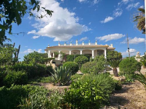 Padula Fede Apartment | Villa Sette Nani: Oceanfront Retreat with Spectacular Views