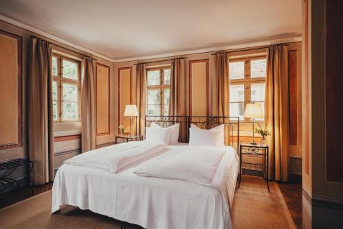 Oberloßnitz Hotel | Pet-Friendly Hotel Villa Sorgenfrei with High Review Score