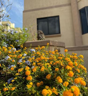 Tal-Ghoqod Villa | Pet-Friendly Villa St Julians: A 4-Star Family Retreat