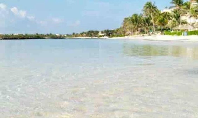 Puerto Aventuras Apartment | Villa Talia: Relaxation, Beach Access & Nature Awaits