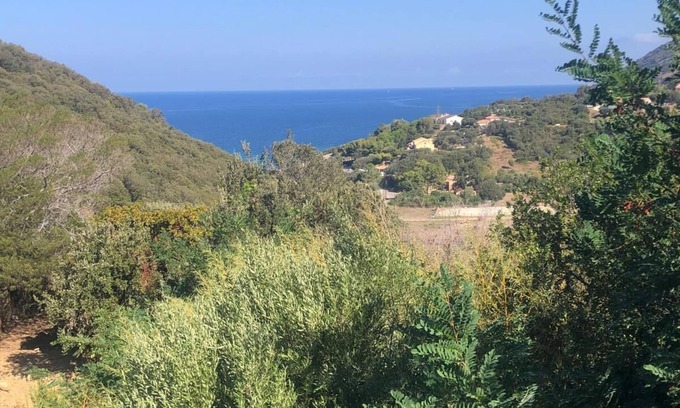Braccolaccia Villa | Villa Torre Blanca in Farinole
