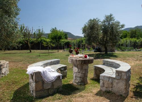 Sikia Apartment | Family-Friendly Villa Tsitreli with Top Guest Ratings