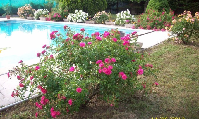 Allegre Les Fumades Villa | Inviting Villa with Private Pool and Ocean View