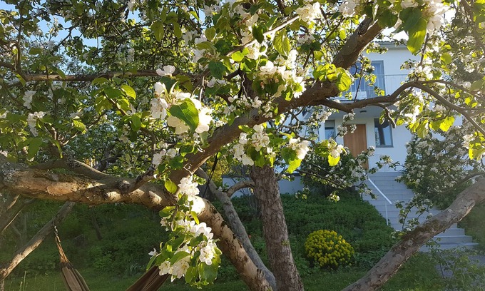 Nacka Municipality House | Idyllic Villa with Private Garden near Central Stockholm