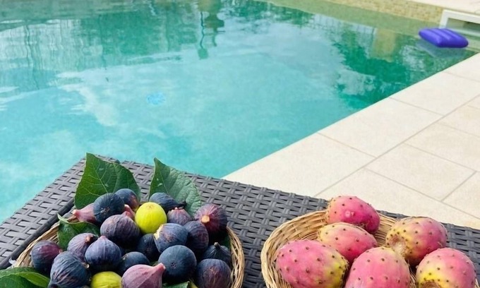 Specchiolla House | Serene Villa with Private Pool & Ocean View Near WWF Oasis