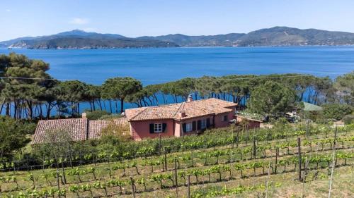 Morcone Villa | Exclusive Villa Morcone: Private Beach & Oceanfront Views