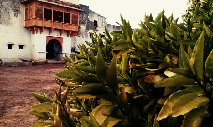 Rohet Other | Experience Village Castle: A Desert Retreat with Breakfast