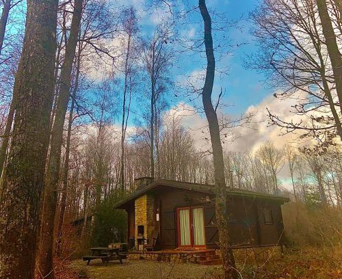 Oignies-en-Thierache Ski Chalet | Eco-Friendly Retreat at Village de vacances d'Oignies