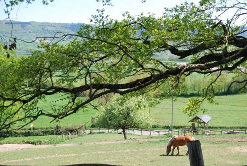 Montagny-sur-Grosne House | Pet-Friendly Village.insolite: Rated 8.7/10 by Guests