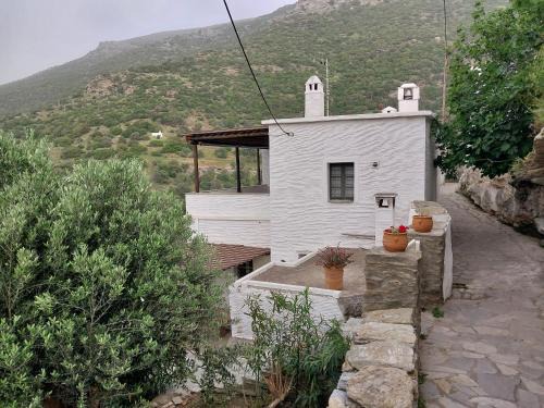 Andros Town House | Exceptional Village Sense with Oceanfront Views & More