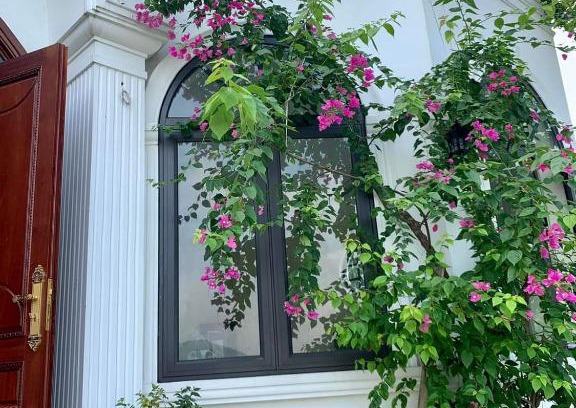 Thach That Apartment | Discover Villas Little White House Quê Vải with Pool & Pets