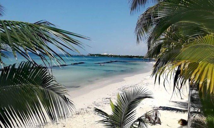 Puerto Aventuras Hotel | Guest Rated: Villas Picalu Studios & Suites with Pool and Spa