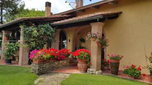 Capolona Bed & Breakfast | Discover Villaspino: Family-Friendly & Guest Rated 10/10