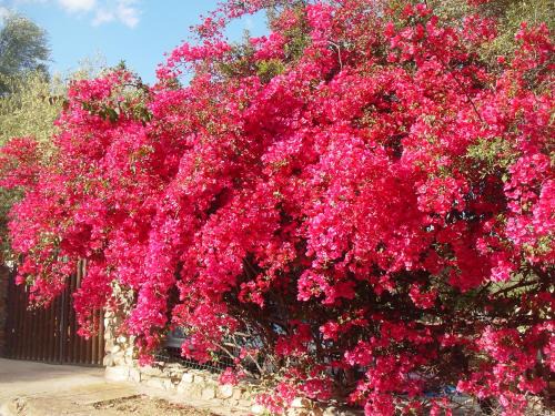 Cala Sinzias House | Cozy Villa Steps from Cala Sinzias' Pristine Beaches
