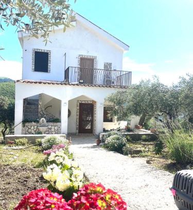 Prizzi House | Inviting Villetta con Oliveto CFG: Guest Rated 8/10