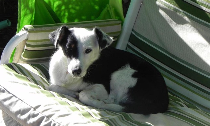 Madonna delle Grazie House | Pet-Friendly Villetta e Apt. Silvia with Ocean View & Beach
