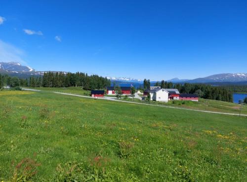 Hattfjelldal Other | Top-Rated Villmarksgård Camping with Ocean Views & Pet Friendly