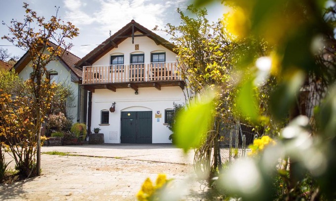 Novy Saldorf-Sedlesovice Apartment | Family-Friendly Vinařský Apartmán Špalek - Rated 9.5/10