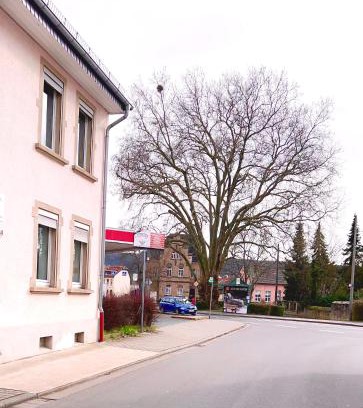 Bad Sobernheim House | Inviting Vinaring Homestay: Family-Friendly Getaway Awaits