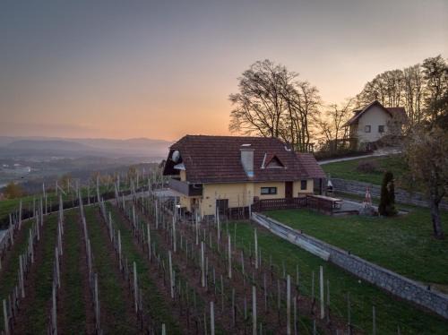 Trska Gora Apartment | Vineyard Cottage Hočevar: Family-Friendly Oceanfront Escape