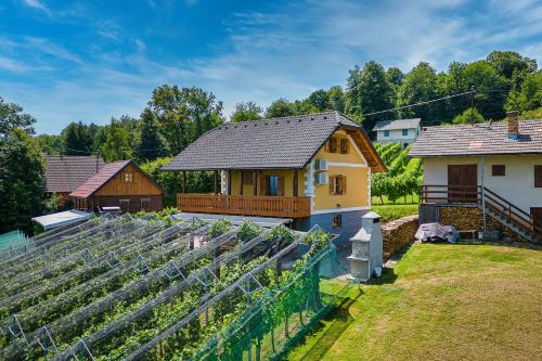 Crnomelj House | Family-Friendly Vineyard Cottage Stepan - Happy Rentals