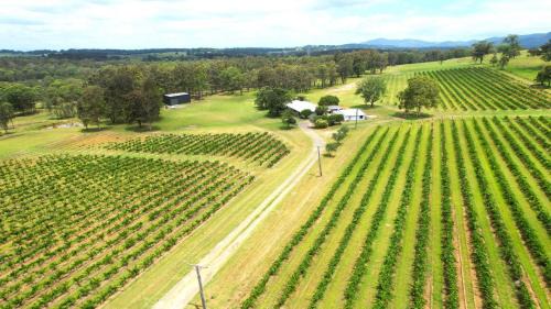 Pokolbin House | 'Vineyard Escape Farm Stay'