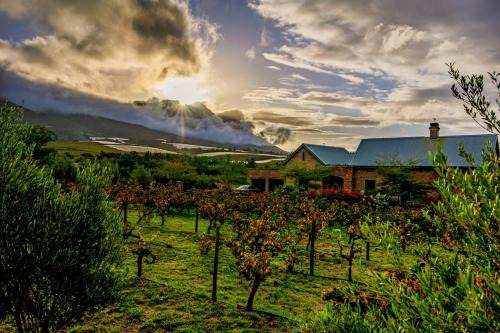 Riebeek Kasteel House | Vineyard Views Country House: Family-Friendly Retreat
