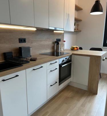 Prague 2 Apartment | Vinice house