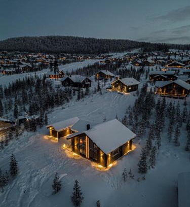 Idre House | Pet-Friendly Vinterdröm Idre Himmelfjäll: 4-Star Retreat