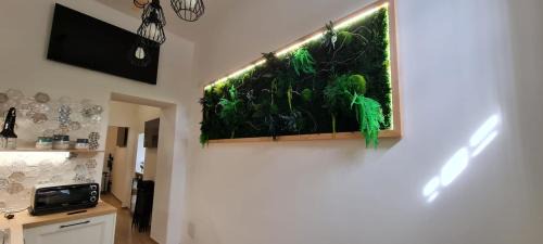 Ercolano Apartment | Pet-Friendly Retreat at Viola Casa Vacanze - Rated 9.7/10