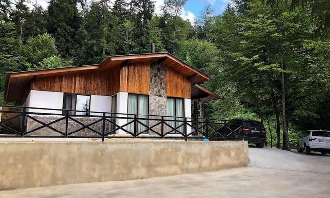 Bakuriani Villa | VIP Class Cottage in Bakuriani: Pet and Child Friendly Retreat