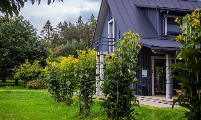 Renavas House | Tranquil Forest SPA Holiday Home with Ocean View