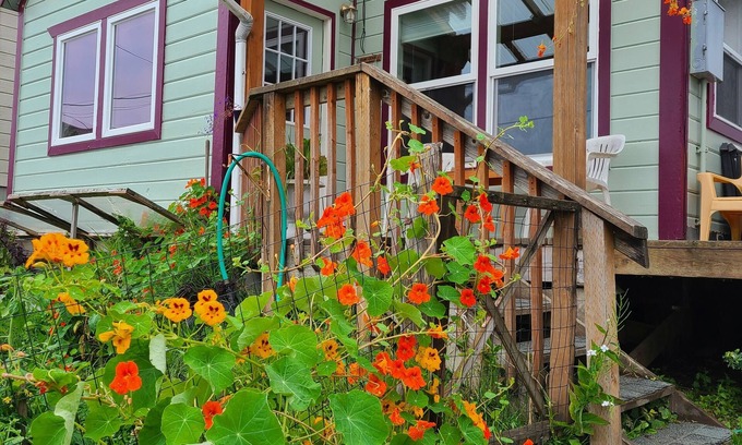 Tenakee Springs Cottage | Rejuvenate in Tenakee Springs with Oceanfront Views