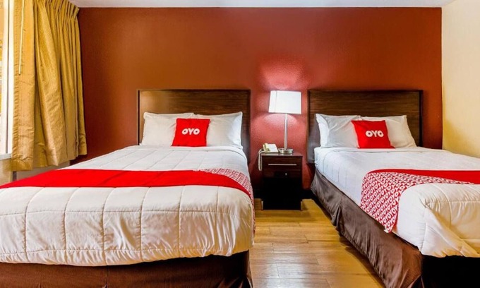 Moline House | Visit Center for Belgian Culture! 3 Posh Units, Pets are Allowed, Free Parking