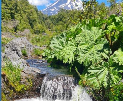 Curacautin House | Scenic Volcano Views with Hot Tub & River at Conguillío Hotel