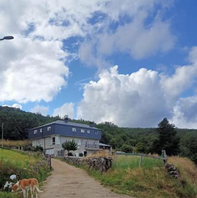 A Veiga House | Vista Estrelada: Pet-Friendly Retreat with 9.3/10 Rating