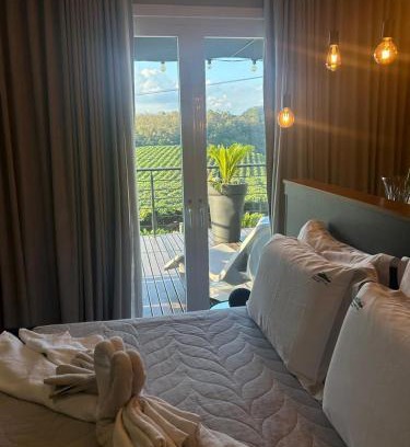 Bento Goncalves House | Experience Vista Vigneti Albergo & Vino in Vale dos Vinhedos