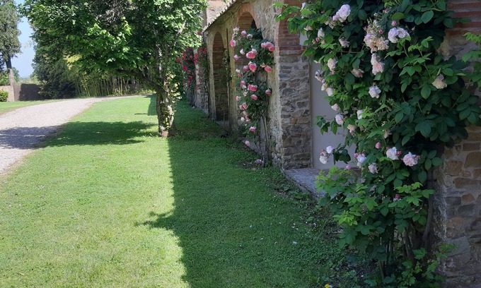Le Piazze House | Experience Vitiano: Tenuta di Vitiano with Ocean Views