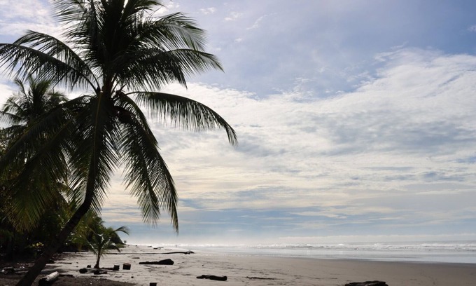Canton Quepos Apartment | Experience Serenity by the Sea: Pool, Spa & Surf Await