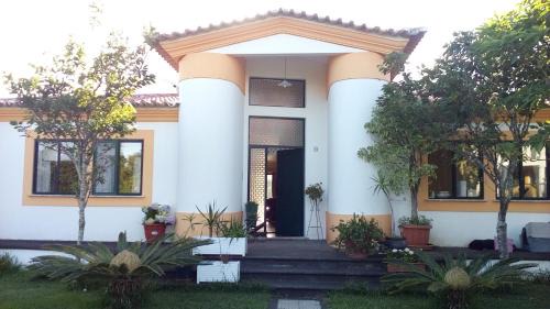 Angra do Heroismo House | Experience Vivenda Cinco Reis: Oceanfront & Pet Friendly