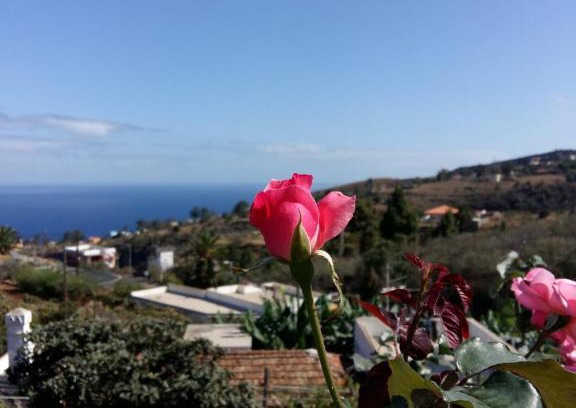 Santa Cruz de la Palma House | Cozy Escape at Vivienda Vacacional La Graja - 9.4/10 Rating