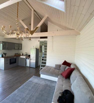 Pieriga House | Discover Vizbules: Family and Pet-Friendly Getaway