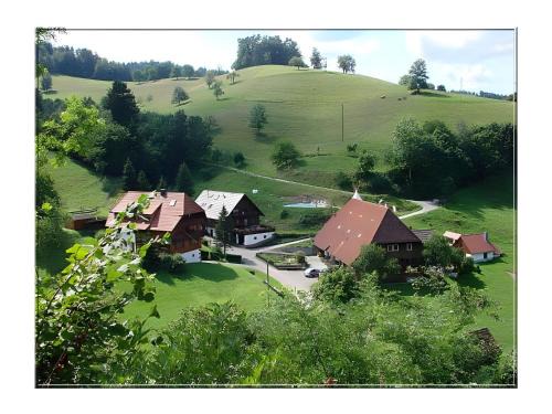 Kirnbach House | Discover Vogtadeshof: Pet-Friendly Retreat with Pool Access